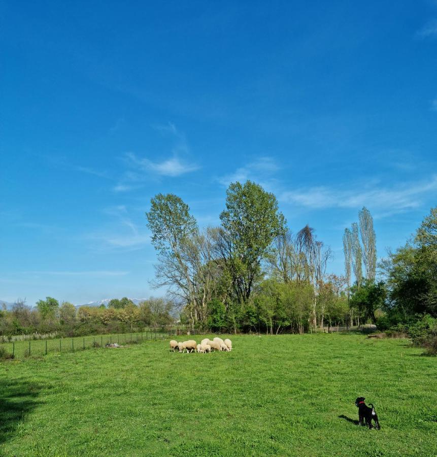 Wolf & Sheep Nature & Adventure Podgorica Zewnętrze zdjęcie