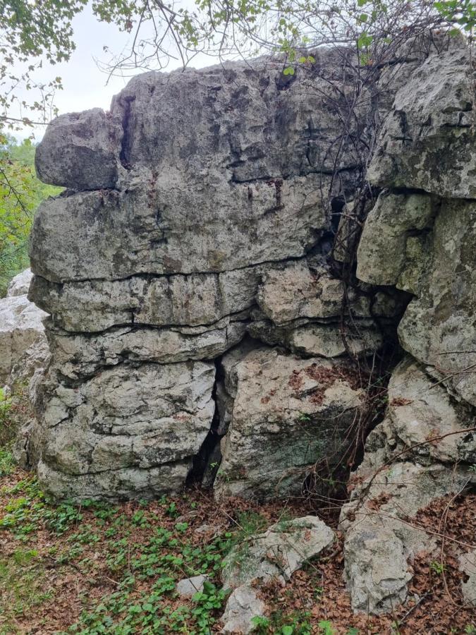 Wolf & Sheep Nature & Adventure Podgorica Zewnętrze zdjęcie