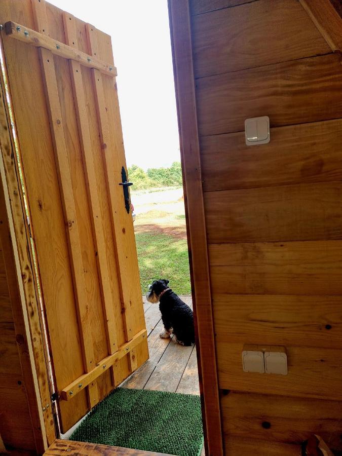 Wolf & Sheep Nature & Adventure Podgorica Zewnętrze zdjęcie