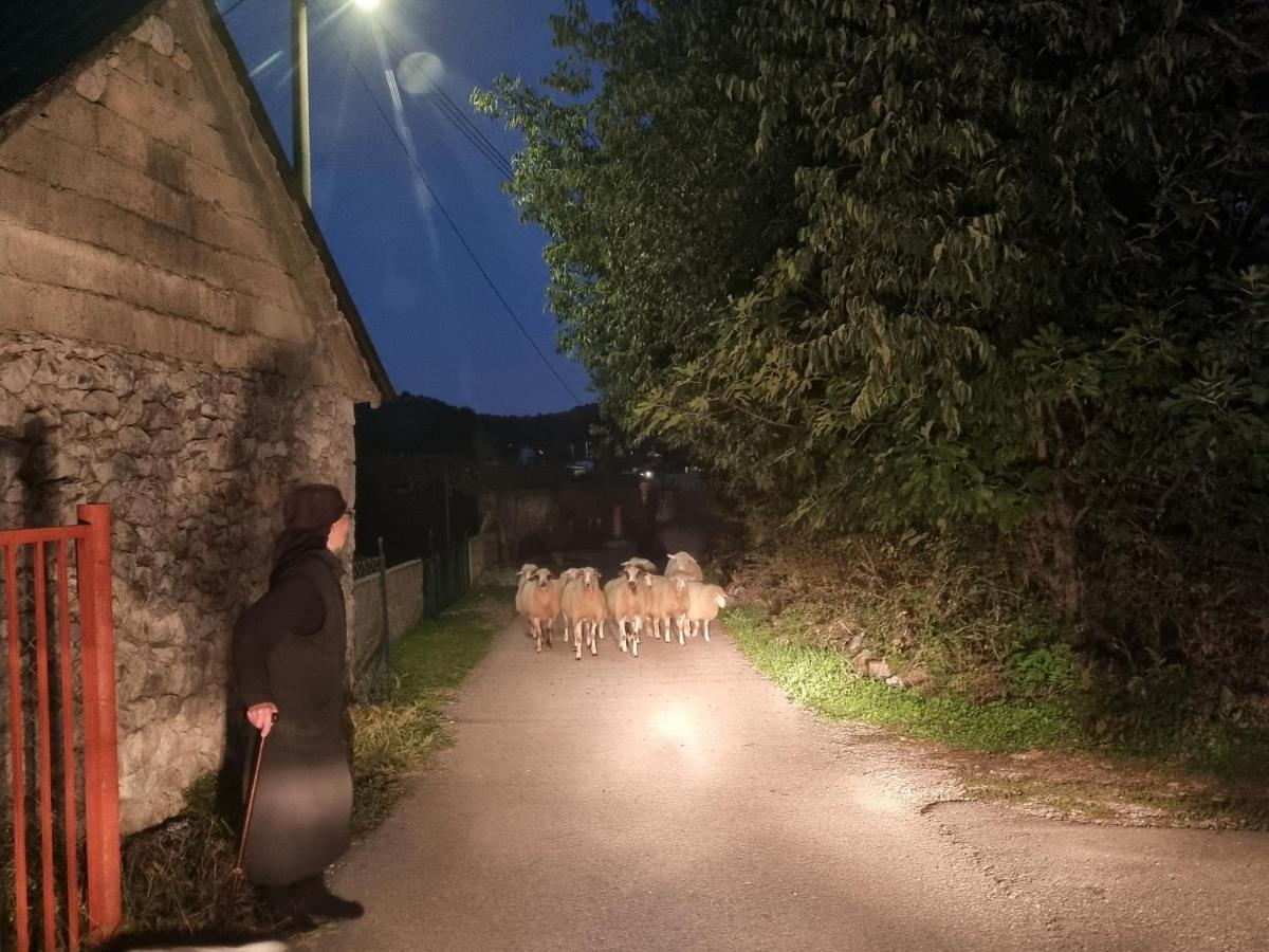 Wolf & Sheep Nature & Adventure Podgorica Zewnętrze zdjęcie
