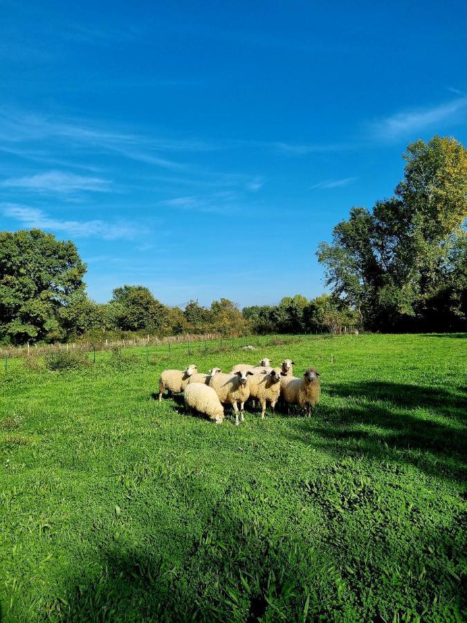 Wolf & Sheep Nature & Adventure Podgorica Zewnętrze zdjęcie