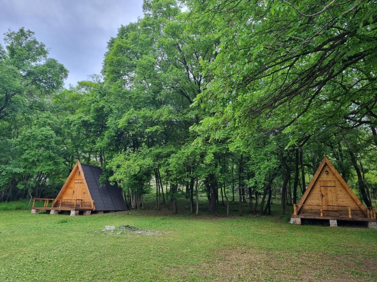 Wolf & Sheep Nature & Adventure Podgorica Zewnętrze zdjęcie